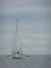 Red Spinaker