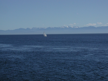 harostrait4
