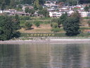 ladysmith2