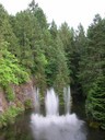 butchart8