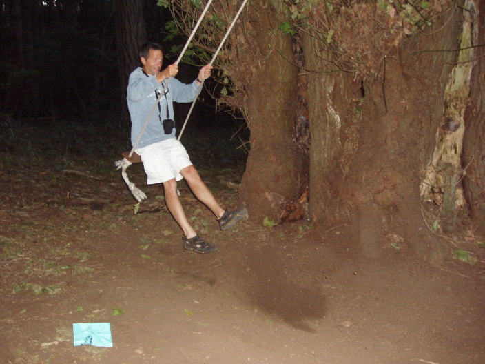 swing