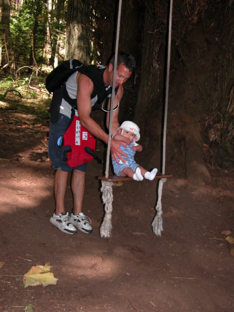 swing